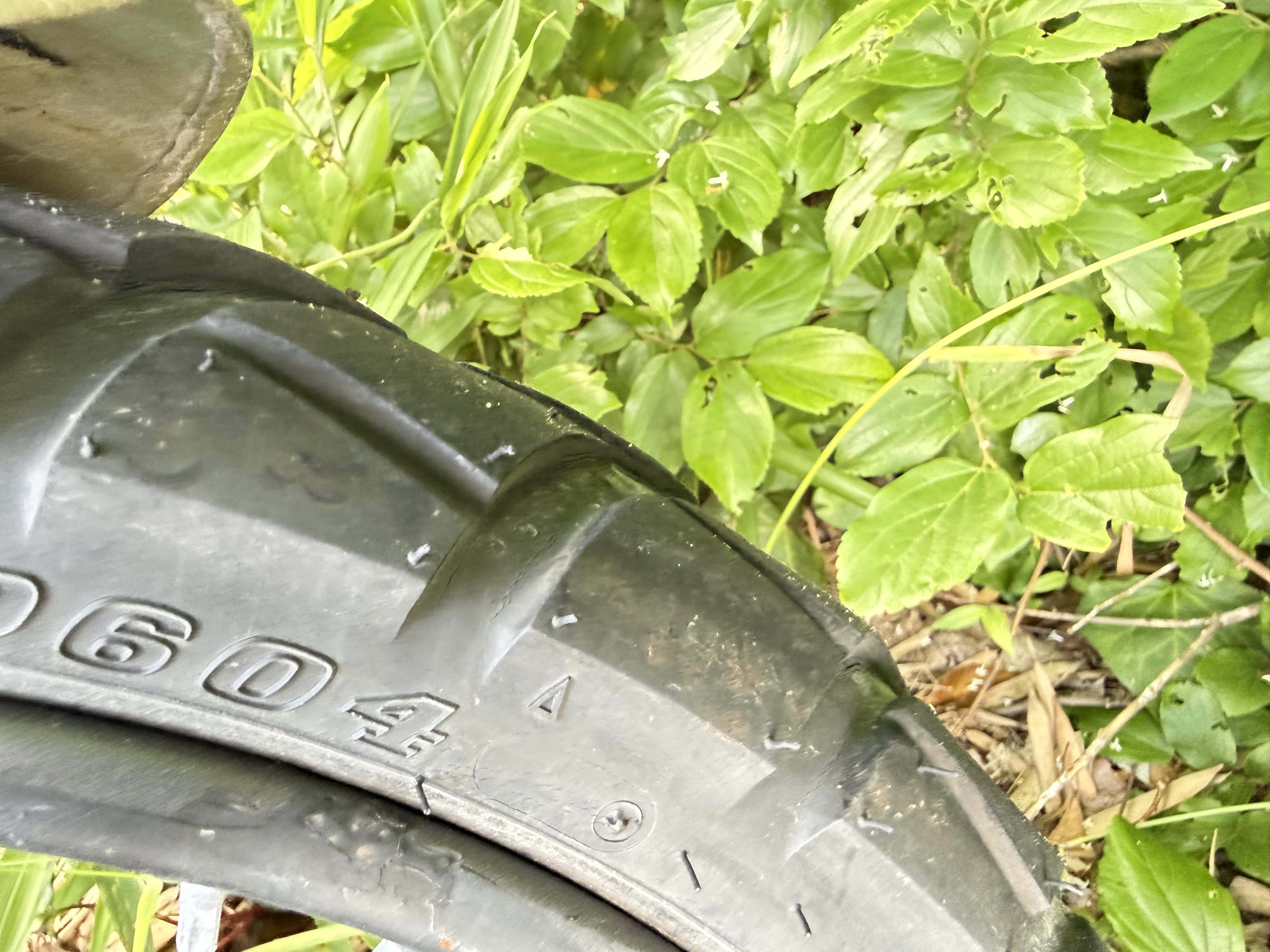 Dunlop D604 サイドウォール 80/90-17M/C 44P サイズ表記とDOTマーキング